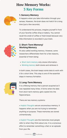 Memory Psychology, Improve Memory Brain, Brain Hacks, Psychology A Level, Memory Strategies, Improving Memory, Memory Exercises, Psychology Notes, Memory Words