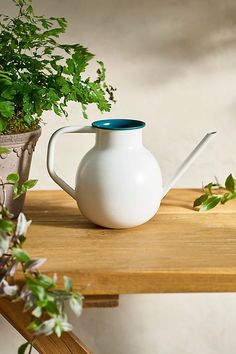 a white watering can sitting on top of a wooden table next to a potted plant