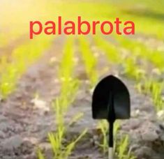 there is a black shovel in the middle of some dirt and grass with words palabrota on it