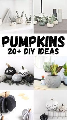 pumpkins and other decorations are displayed on the shelf in this collage with text overlay