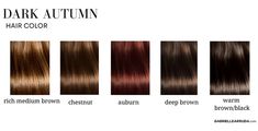 Exploring Dark Autumn in seasonal color analysis? Here’s you ultimate guide to the deep autumn including a dark autumn color palette, outfit ideas, dark autumn makeup, and how to definitely confirm you’ve determined the correct season. Deep autumn seasonal color | dark autumn celebrities | how to determine your seasonal color Best Hair Color For Dark Autumn, Hair Colour For Dark Autumn, Dark Autumn Best Hair Color, Hair Color For Dark Autumn Skin Tone, Dark Autum Hair Color, Hair Color Deep Autumn, Dark Autumn Hair Color Palette, Deep Autum Hair Color, Best Hair Color For Deep Autumn