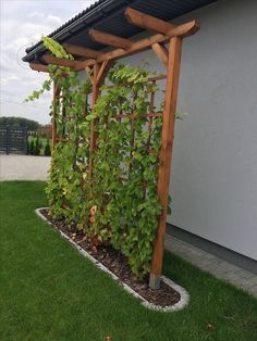 a trellis with lots of green plants growing on it's sides in front of a building