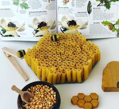 an open book with bees on it next to some honey combs and other items