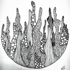 an ink drawing of some plants and rocks