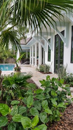 a white house with a pool in the background and lots of greenery around it