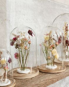 three glass domes with dried flowers in them