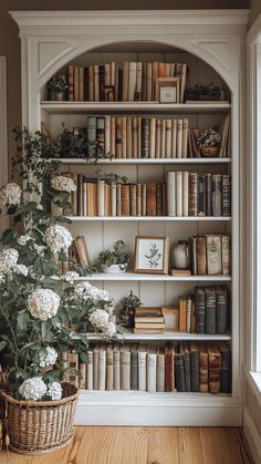 a bookshelf filled with lots of books next to a potted plant on top of a wooden floor