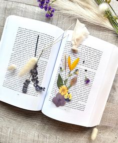 an open book with dried flowers on it and some feathers laying next to the pages