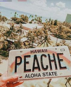 a person holding up a license plate that reads hawaii peache aloha state