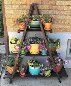 several flower pots are arranged on a wooden shelf