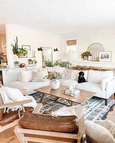 a living room filled with furniture and plants