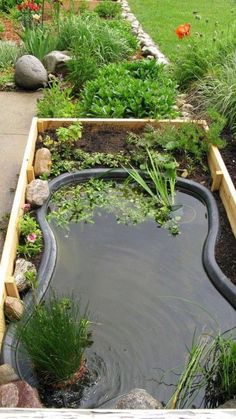 a small pond in the middle of a garden