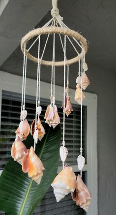 seashells hanging from a rope in front of a window