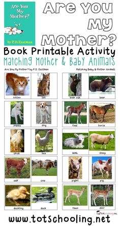 a poster with pictures of animals and their names on it's front cover, which reads are you my mother? book printable activity matching mother & baby animals