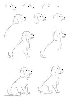 four dogs are shown in different positions to draw the dog's head and tail