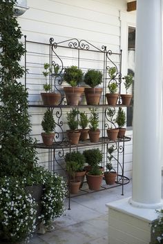 several potted plants are displayed on a shelf in front of a white brick building