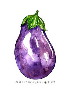 Eggplant Art Print Youngboy Quotes, Wallpaper Nba, Vegetable Art, Quotes Twitter, Garden Vegetable, Watercolor Food, Quotes Lyrics