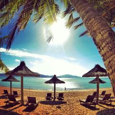 beach chairs and umbrellas on the sand under palm trees near an ocean with mountains in the background