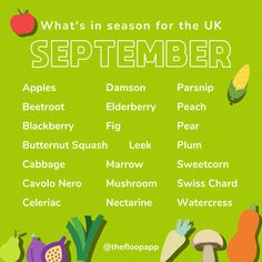 what's in season for the uk on september 1, 2013? infograph