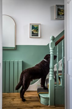 a black dog standing on top of a wooden floor next to a stair case in a house