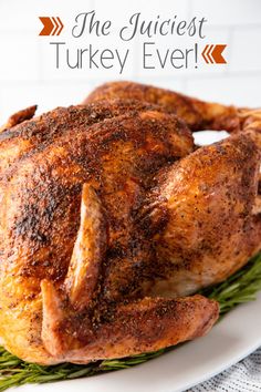 a roasted turkey on a white plate with the words, the juicest turkey ever