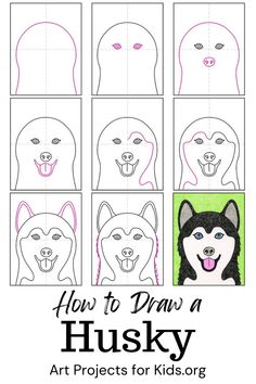 how to draw a husky for kids with the title, how to draw a husky art projects