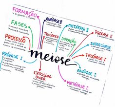 a handwritten diagram with words describing the different types of nevees and how to use them