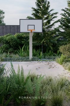 an outdoor basketball court surrounded by plants and trees