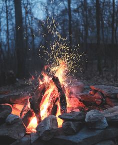 a campfire is lit up in the woods