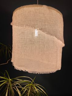 a lamp shade hanging from a ceiling next to a potted plant in front of a black wall