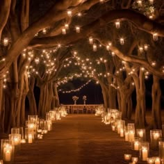 rows of lit candles are lined up in the middle of an outdoor area with trees and string lights