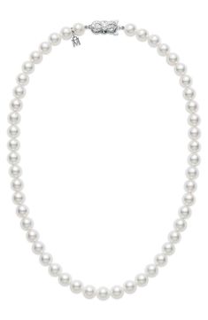 Free shipping and returns on Mikimoto Essential Elements Akoya Pearl Necklace at Nordstrom.com. Behold the sea's natural beauty with this strand of luminous cultured pearls, which are each carefully selected to ensure the best quality. An ornate white-gold clasp and small logo charm enhance its timeless elegance. Choker Necklace Online, Timeless Necklace, Akoya Pearl Necklace, Necklace Clasp, Pearl Jewels, Mikimoto Pearls, Elegance Style, Cultured Pearl Necklace, Pearl Choker Necklace