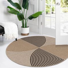 a plant in a pot sitting on top of a rug next to a white door