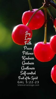 a bunch of cherries hanging from a tree with the words joy love and faith