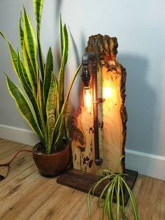 a lamp that is sitting next to some plants