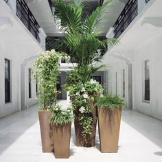 two large planters are in the middle of an indoor courtyard with balconies