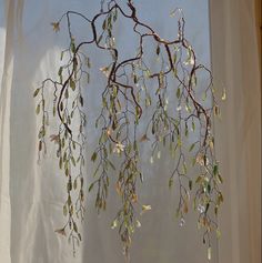 a tree branch with green leaves hanging from it's branches in front of a window