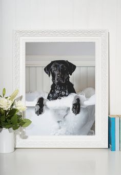 a black dog is sitting in the bathtub with foam on it's paws