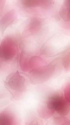 a pink background with lots of petals on the top and bottom half, all in different colors