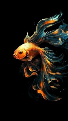 a gold fish with blue and orange feathers