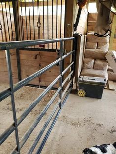 a black and white dog laying on the ground next to a metal gate in a barn