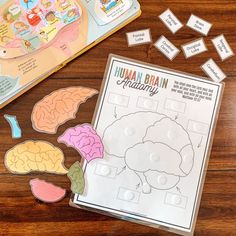 the human brain activity is displayed on a wooden table next to an open book with stickers and magnets