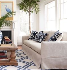 a living room filled with furniture and a potted plant in the middle of the room