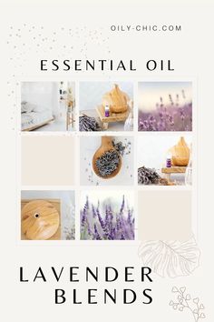 Calming Lavender Essential Oil Diffuser Blends Lavender Blends