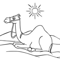 a camel laying down with the sun in the background