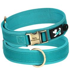 a blue dog collar with a metal buckle