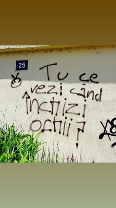 graffiti on the side of a building that says tuce, vezzi and netizi