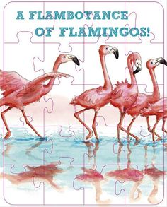 three pink flamingos are standing in the water and one is missing its beaks