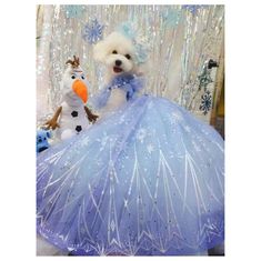 a white dog dressed up in a blue dress with snowman on it's head