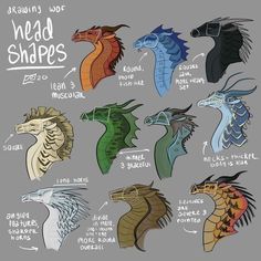 Drawing Tips And Tricks, Tips On Drawing, Drawing Dragons, Fire Wings, Local Cryptid, Dragon Poses, Dragon Anatomy, Types Of Dragons, Fire Drawing